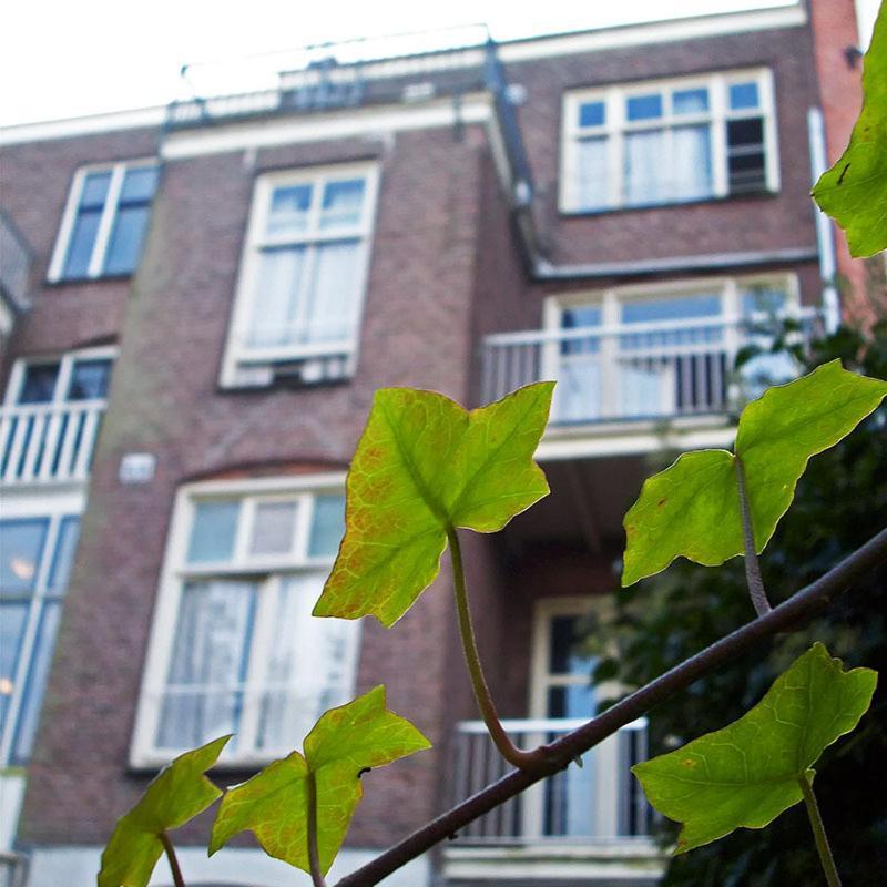 Amsterdam Hostel Annemarie Екстериор снимка